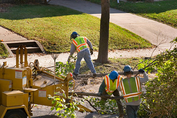 Best Artificial Turf Installation  in Garden Grove, CA